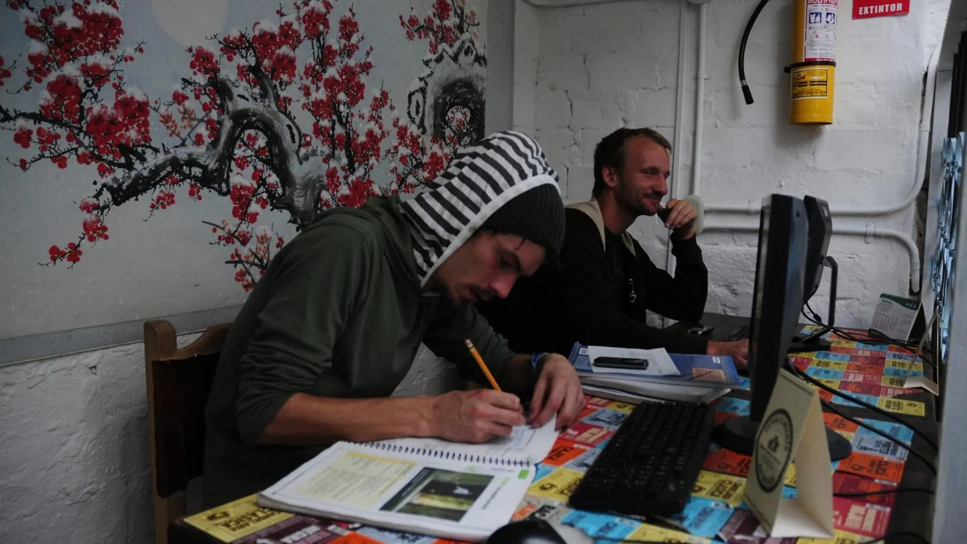 Lima Limon Candelaria Hostel Bogotá